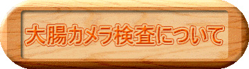 大腸カメラ検査について