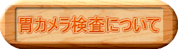 胃カメラ検査について